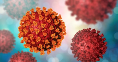 Mutaciones en la espiga del SARS-CoV-2 modulan la afinidad del virus con los receptores humanos ACE2 (+análisis in silico)