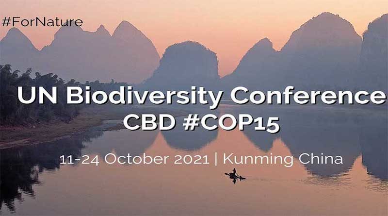 Postergada la cumbre climática COP-15 en China