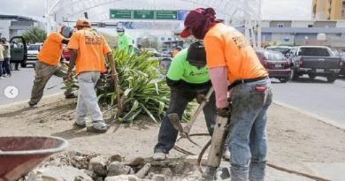 Inician trabajos de embellecimiento en el Paseo Manaure de Coro en Falcón
