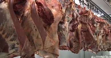Centro Cárnico El Rastro industrializa producción bovina y porcina en Guárico