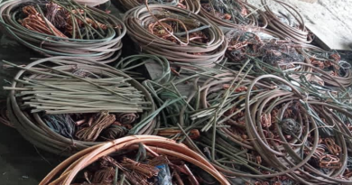 Desarticulan grupo delictivo dedicado al robo de material estratégico en Bolívar