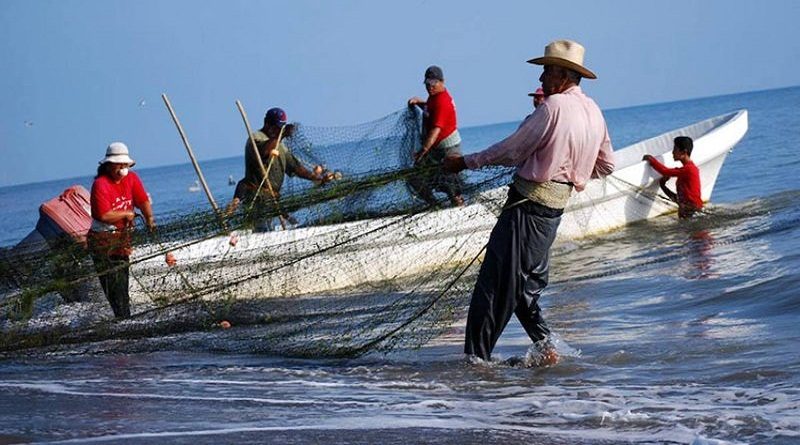 Jefe de Estado celebra Día del Pescador Artesanal motor fundamental para garantizar el desarrollo productivo