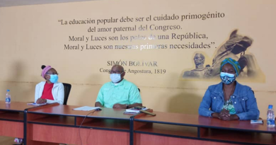 En Videoconferencia debaten tareas para ser elevada en Consejo Presidencial de las Comunidades de Afrodescendientes