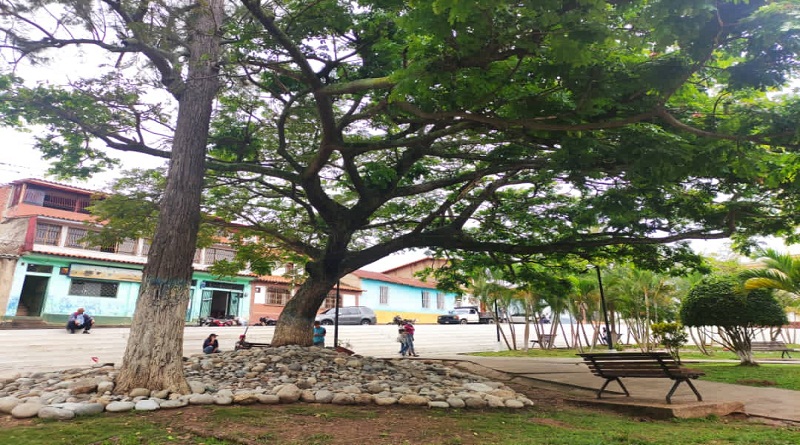 Plan 21 ha recuperado espacios en la Plaza Bolívar de la parroquia Escuque de Trujillo
