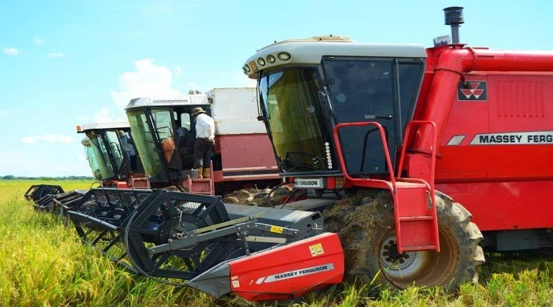 Fuerzas productivas de Guárico destinarán cerca de 100 mil toneladas de arroz a diferentes programas de alimentación