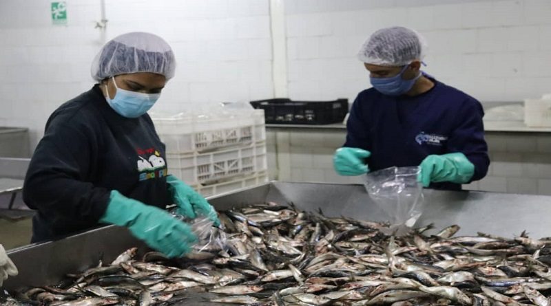 inicio al Apresto Operacional para La Distribución de Pescado Semana Santa 2021