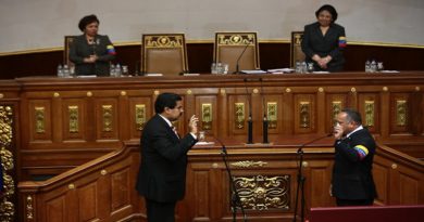 Jefe de Estado: Yo sí asumí la presidencia interina en 2013 para convocar únicamente a elecciones como manda la Constitución
