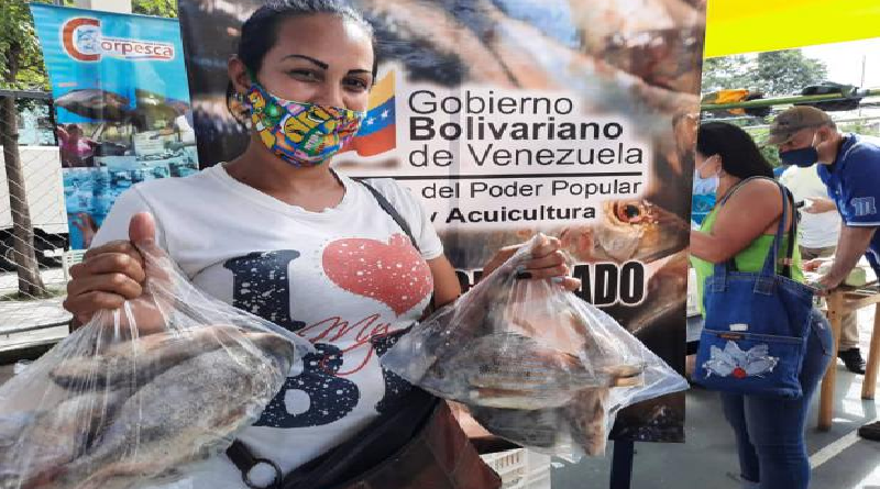 Feria Socialista del Pescado distribuyó 518 mil kilos de proteína pesquera