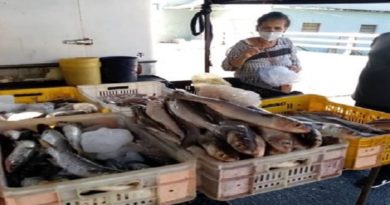 Estado Mayor de Alimentación e Insopesca distribuyen más de 20 mil toneladas de proteína pesquera en Trujillo