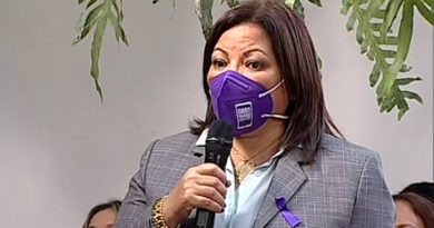 Diputada Villegas destaca que Constitución reivindica a mujer venezolana como parte del socialismo feminista impulsado por el Comandante Chávez