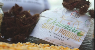 Clap Betania Plaza fortalece su producción de rubros para atender a familias de Ocumare del Tuy
