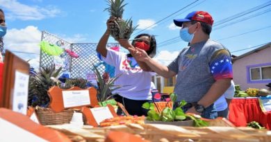 Yaracuy cuenta con más de 2 mil espacios productivos de arroz y papas
