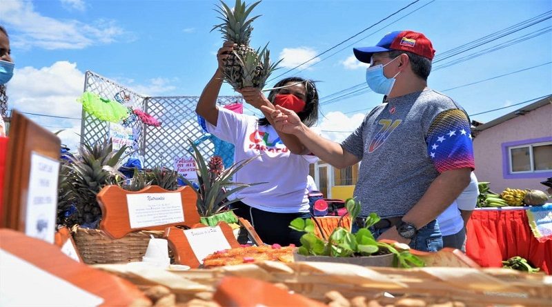 Yaracuy cuenta con más de 2 mil espacios productivos de arroz y papas