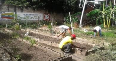 Espacios productivos en la comuna Socialista Miranda, Bolívar, Chávez son recuperados en Aragua