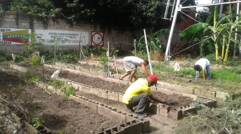 Espacios productivos en la comuna Socialista Miranda, Bolívar, Chávez son recuperados en Aragua