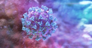 Científicos descubren que la exposición del SARS-CoV-2 a altas temperaturas neutraliza el virus en menos de un segundo