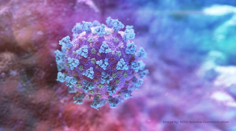 Científicos descubren que la exposición del SARS-CoV-2 a altas temperaturas neutraliza el virus en menos de un segundo