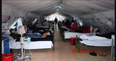 Detectada en Perú, Chile y Ecuador una nueva variante 'C.37' del coronavirus