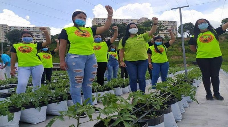 Ministerio de Agricultura Urbana participará en discusión de la Ley de Chamba Juvenil desde el área productiva este 26ABR