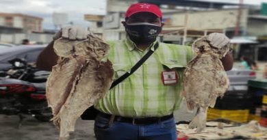 Gobierno Bolivariano distribuye pescado a precios solidarios en comunidades de Trujillo