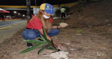 Plan Caracas Patriota Bella y Segura | Con siembra y ornato la Gran Misión Transporte Venezuela llena de hermosura el elevado de La Bandera