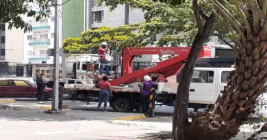 Plan Caracas Patriota, Bella y Segura avanza con jornada de rehabilitación y embellecimiento de la Avenida Victoria