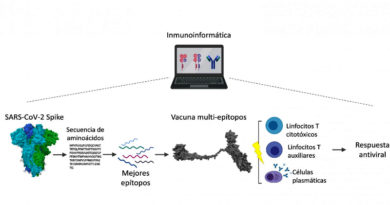 Estudios “in silico” del IVIC revelan que proteínas no estructurales del SARS-CoV-2 podrían ser blanco profiláctico o terapéutico