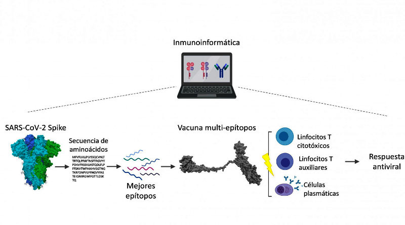 Estudios “in silico” del IVIC revelan que proteínas no estructurales del SARS-CoV-2 podrían ser blanco profiláctico o terapéutico