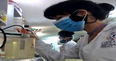 Investigadoras venezolanas trabajan en la propagación «in vitro» de plántulas de ñame y batata