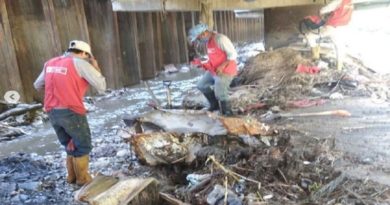 MinAguas ejecuta trabajos de limpieza en riberas del río Guaire en Caracas