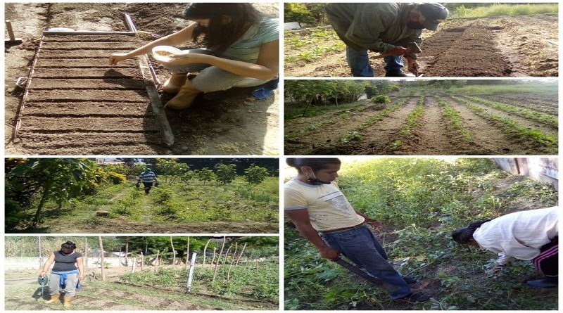 Productores agro y peri-urbanos del estado Carabobo fomentan el impulso de la producción Agrícola nacional