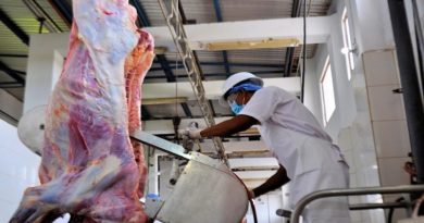 Centro de Beneficio Roblecito potencia niveles de producción y distribución de carne en el estado Guárico