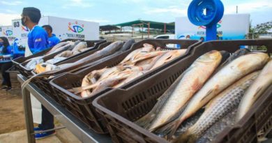 Distribuyen en Maracaibo unas 12 toneladas de pescado en Semana Santa 
