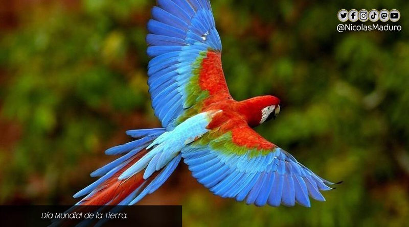 Venezuela conmemora el Día Mundial de la Tierra