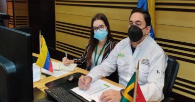 En videoconferencia Venezuela y Sudáfrica revisan acuerdos de cooperación minera