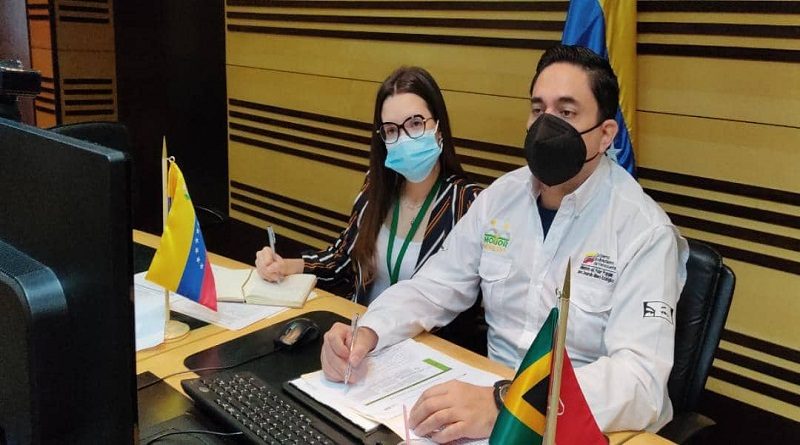 En videoconferencia Venezuela y Sudáfrica revisan acuerdos de cooperación minera