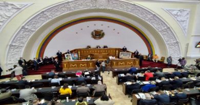 AN designa a Haifa Aissami Madah como embajadora representante permanente de Venezuela ante la FAO