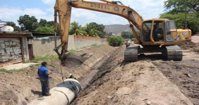 Optimizan sistema de drenaje de aguas pluviales en Parque El Samán en Aragua