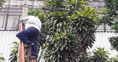 Cantv restituye servicios de telecomunicaciones a 100 suscriptores de la parroquia Santa Rosalía en Caracas