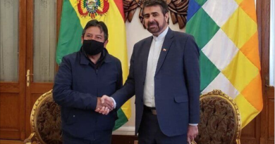 Irán y Bolivia apuestan por desarrollar un plan de acción para aumentar la cooperación