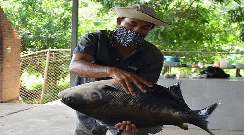 Guárico potencia la producción y distribución de proteína pesquera