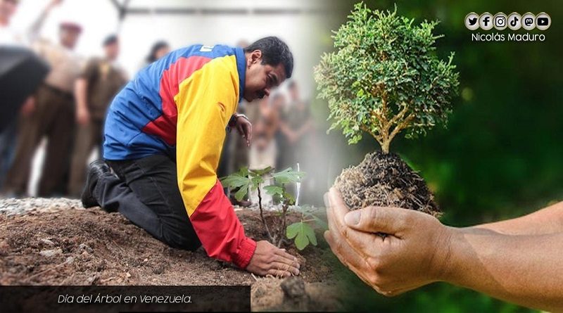 Venezuela celebra el Día Nacional del Árbol, ratificando el compromiso por proteger la madre tierra