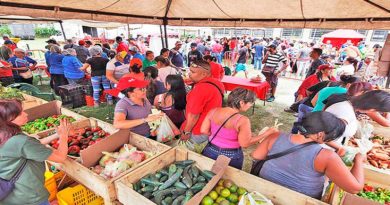 Impulsan Expo Feria Agrícola para productores de El Jarillo y San Pedro en Miranda