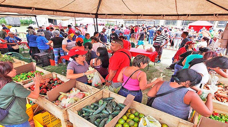 Impulsan Expo Feria Agrícola para productores de El Jarillo y San Pedro en Miranda