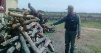 GNB incautaron 200 estantillos de madera en Lara