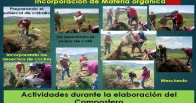 Extensión Unellez Sanare trabaja activamente en el desarrollo de la producción agrícola