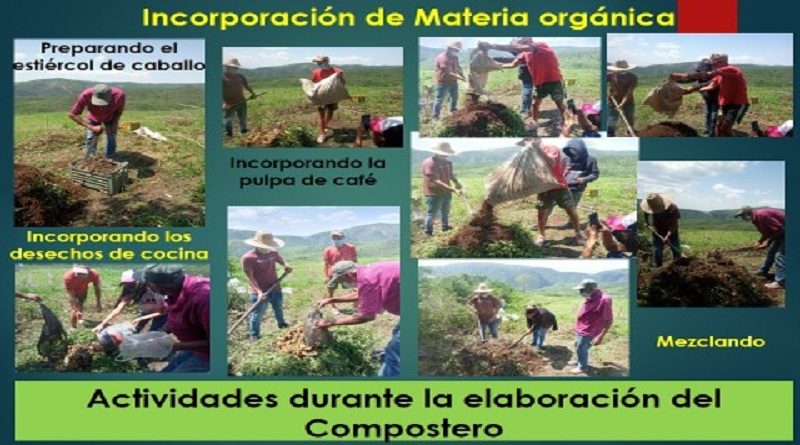 Extensión Unellez Sanare trabaja activamente en el desarrollo de la producción agrícola