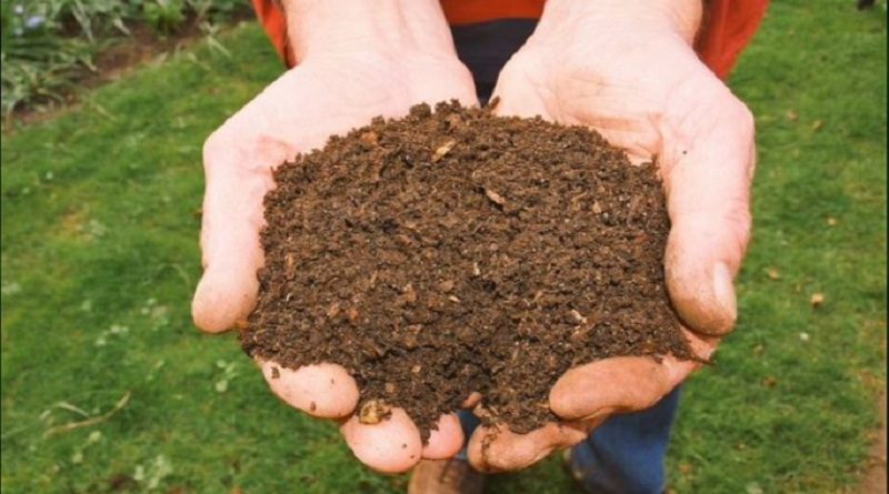 Venezuela recupera práctica ancestral de uso de abono orgánico en cultivos