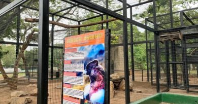 Inspeccionan avances en recuperación del Parque Zoológico Bararida en Lara