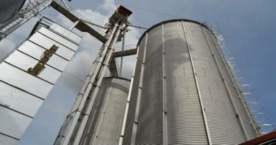 Planta Procesadora Provenca garantiza producción de arroz desde Guárico
